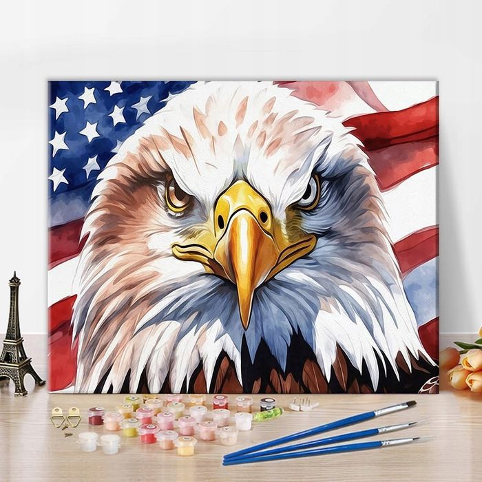 DIY Malowanie po Numerach Orzeł i Flaga USA 40x50cm Farby Akrylowe