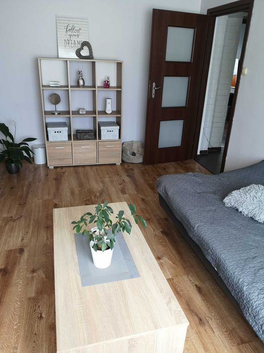 Na sprzedaż mieszkanie 38 m² – Toruń, ul. Sucharskiego