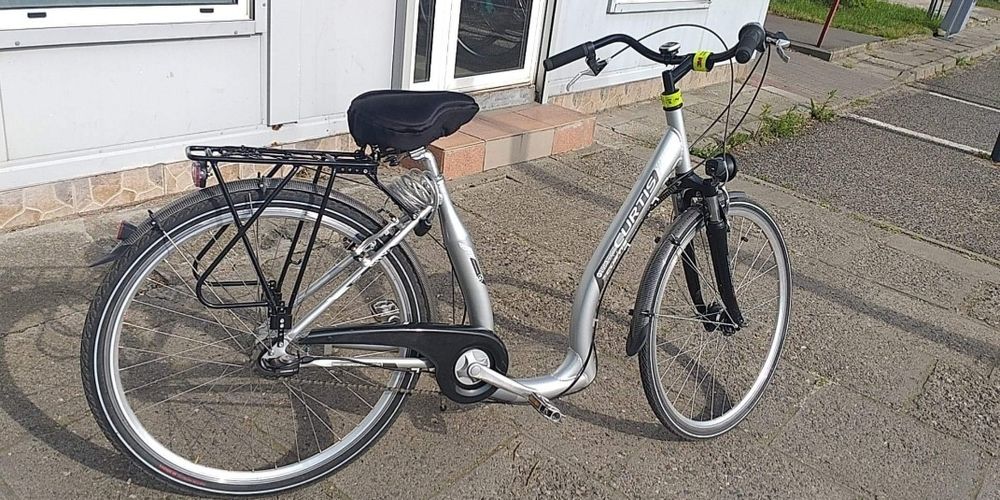 hunde fahrradanhänger mit weber kupplung Lastenanhänger FLIPPER 550 Bürstenloser Motor Laufradgröße (Zoll):12