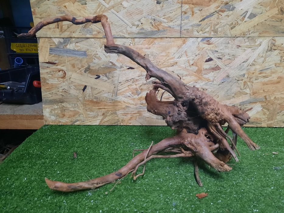 Korzeń do akwarium Red Moore Wood nr 1108 o wymiarach 46/16/30