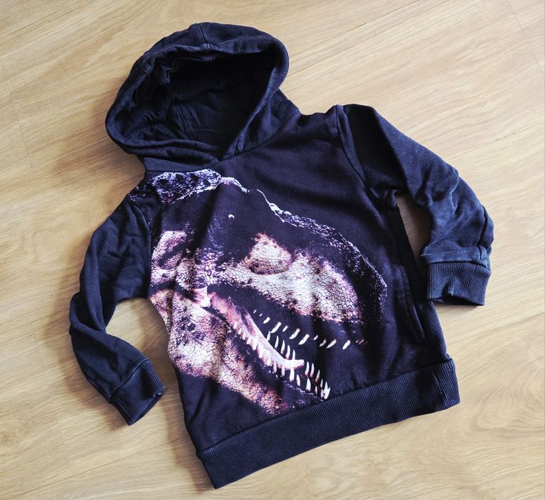 Paka ubrań w rozmiarze 92
Bluza i sweter z dinozaurami Next.
Dres z P