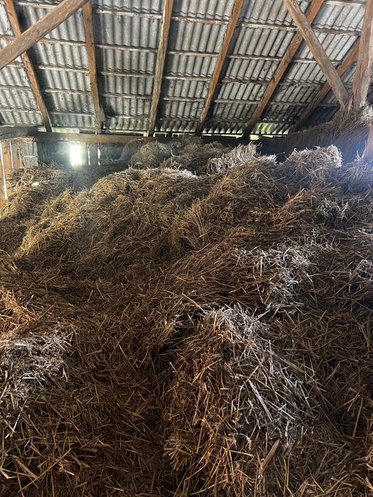 Oddam siano oraz słome