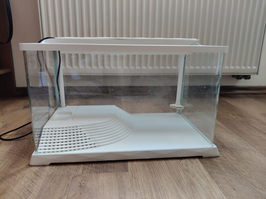 Akwarium dla żółwia wodno lądowego