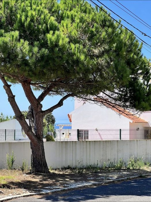 4-Bedroom Villa with Private Pool in Ericeira