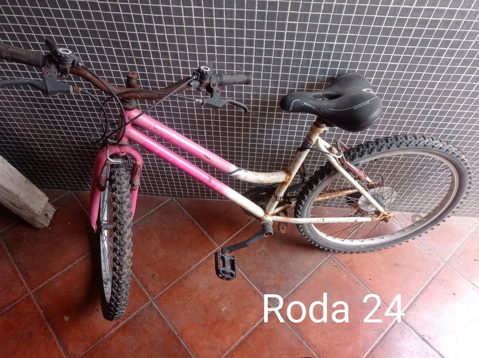 Bicicletas adulto