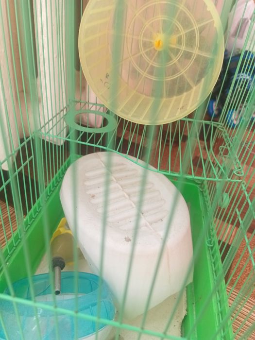 Продам клетку для хом'яків і попугаїв