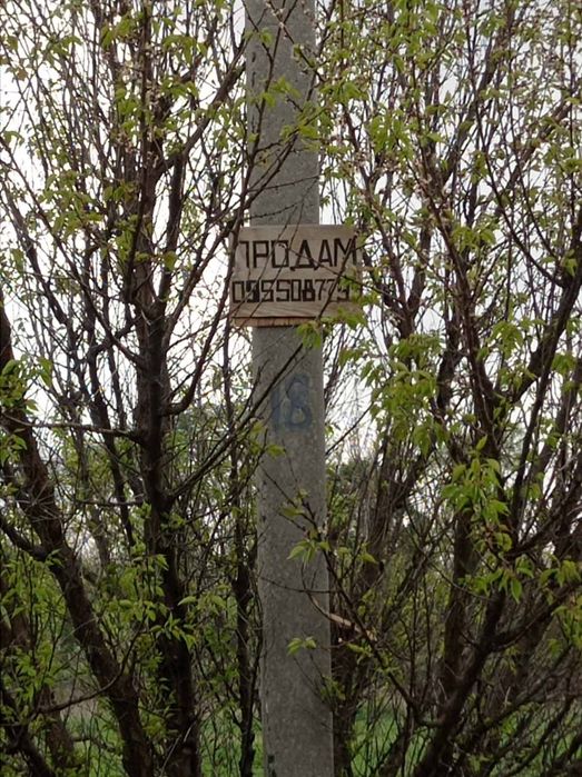 Земельна ділянка під забудову чи с/г використання