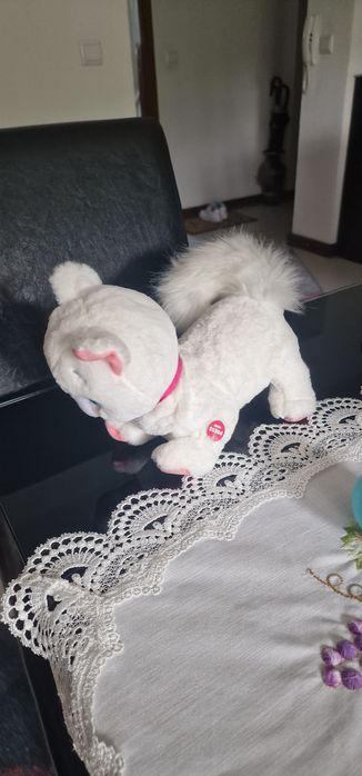 Gatinha interativa
