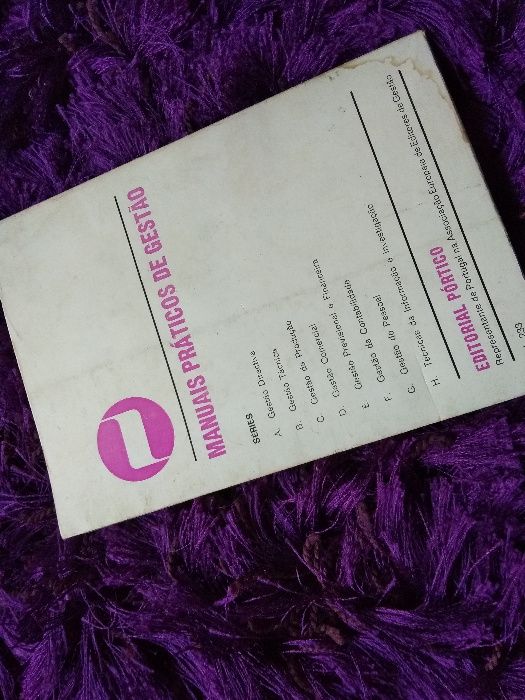 Como interpretar um balanço - José António Elejaga & Ignatio N. Viota