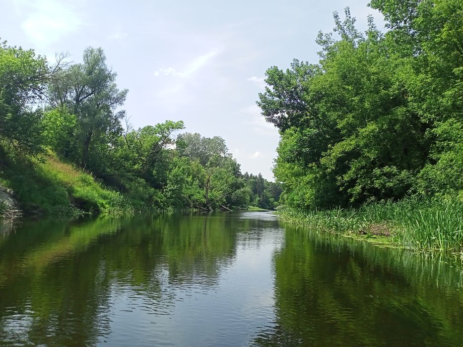 Подобово садиба біля Ворскли та лісу в Нових Санжарах
