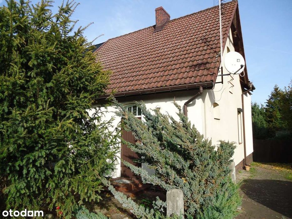 Solidny Domek -Super Lokalizacja Z Uroczą  Działką - Tani W Utrzymaniu