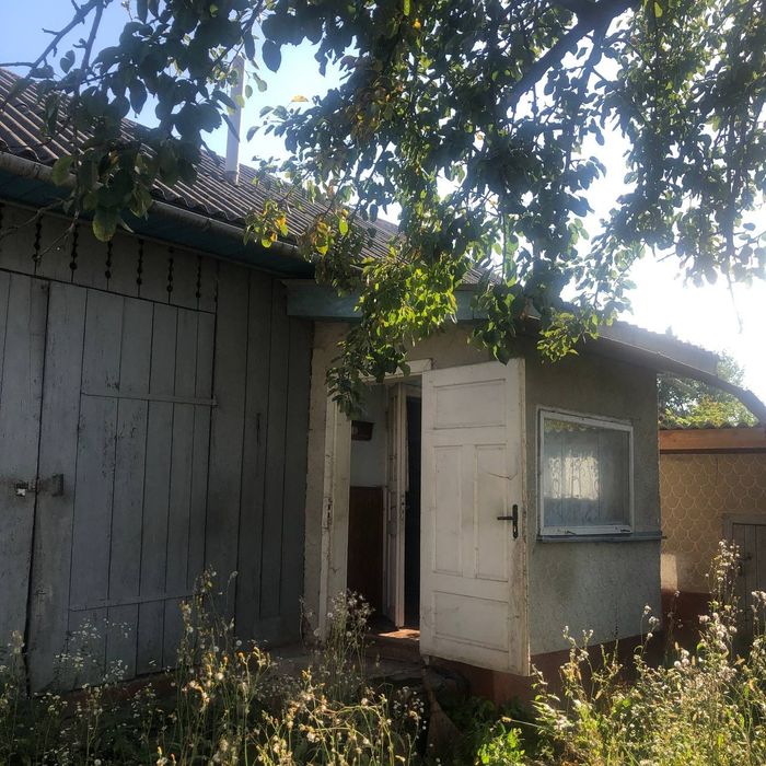 Будинок, ставок, земля біля Карпат, річка, ліс