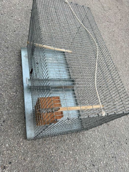 Gaiola para pássaros