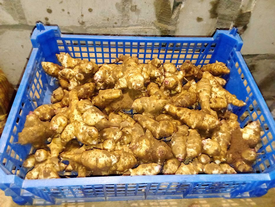 Warzywa,Soki ,Oleje  od Młodego Rolnika