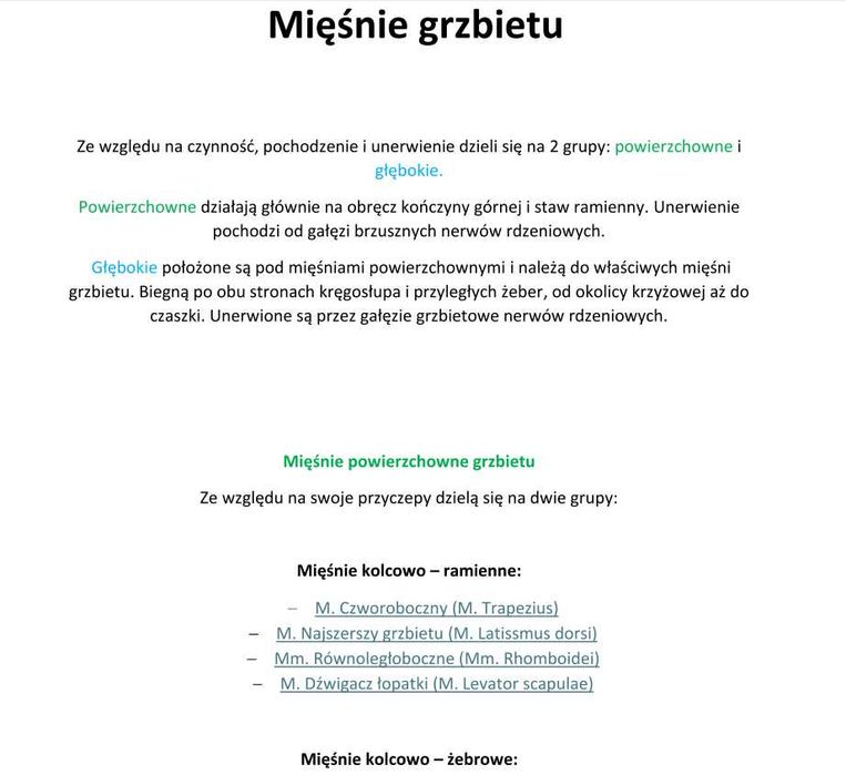 Notatki z anatomii, układ mięśniowy