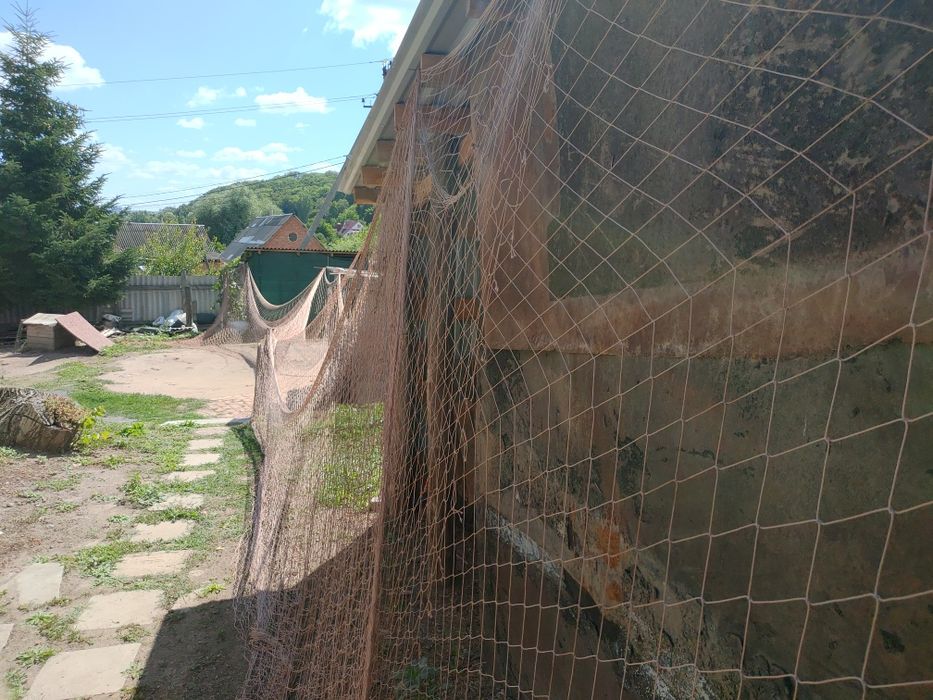 Сетка капрон оградительная. Ячейка 50х50 и 80х80.