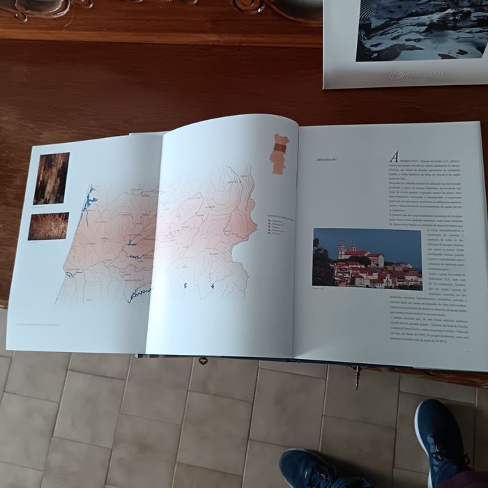 Livro  . "Hidrocenel: Um Olhar Sobre os Aproveitamentos Hidroeléctricos" (Capa dura)