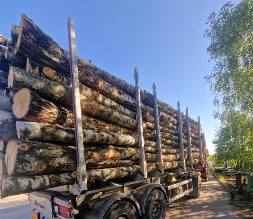 DĄB, BUK, GRAB, BRZOZA - piękne drewno opałowe kominkowe, 2,5m OKAZJA!