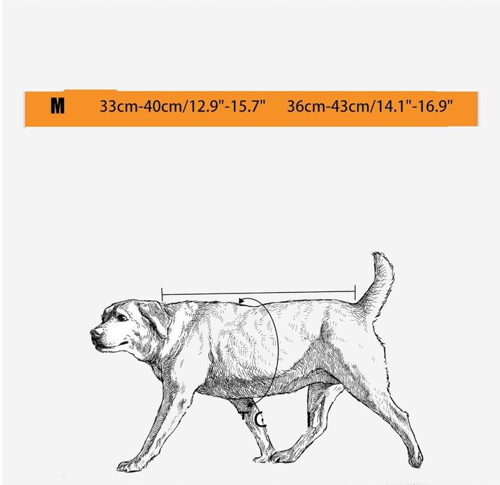 Pas Ortopedyczny Dla Psów Wsparcie Kręgosłupa Ehabilitacja Rozmiar: M