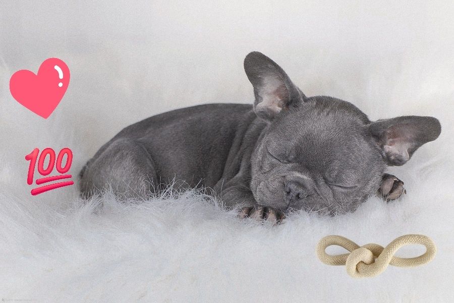 Шикарний манюня блакитний