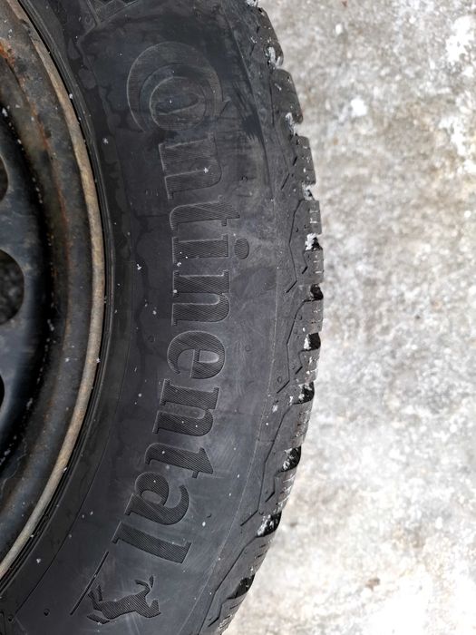 Continental Winter Contact TS870 215 60 R16