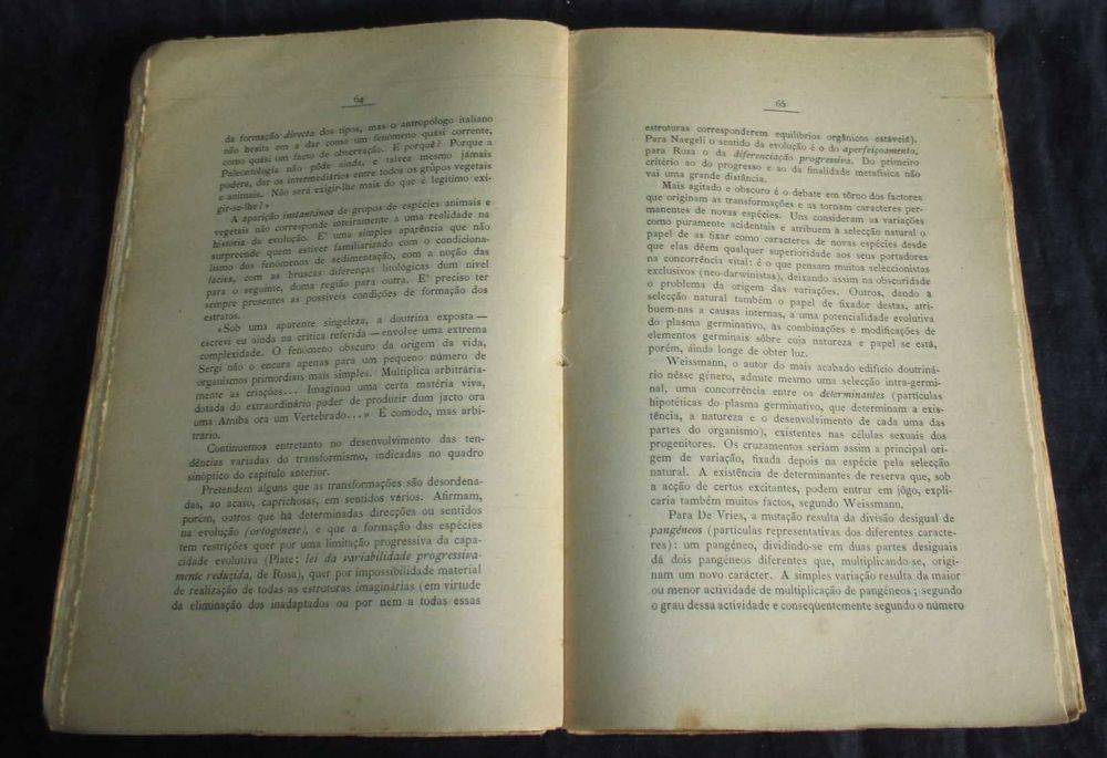 Livro Homo Os Modernos Estudos sobre a Origem do Homem