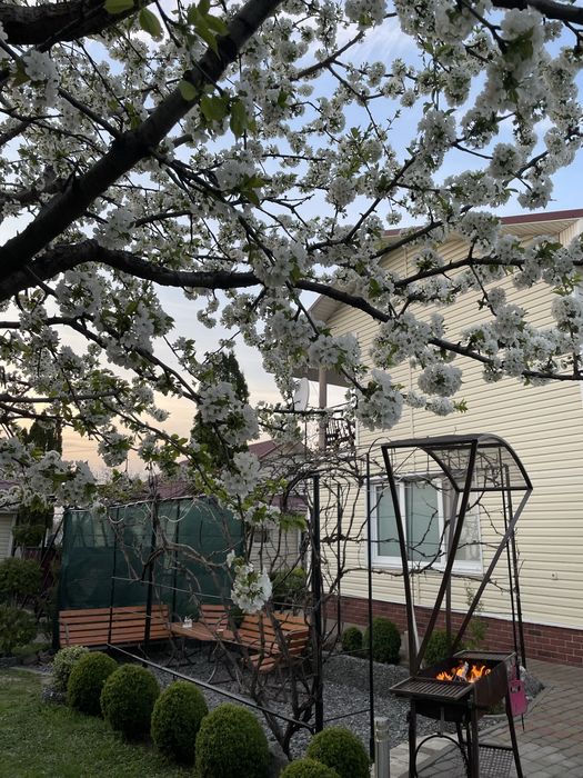 Опенда. будинку  для  відпочинку,  Весілля, Івента, Фотосесії