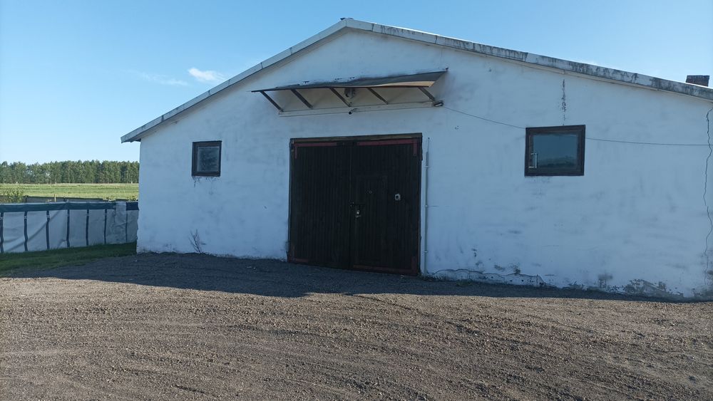 Wynajmę hale, magazyn