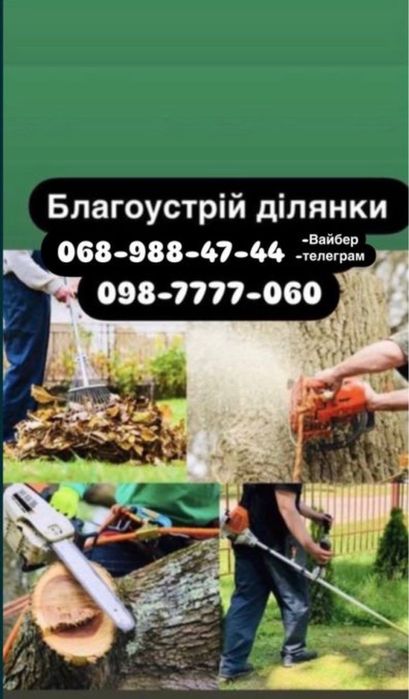 Зрізання дерев обрізка дерев розчищення ділянок покос трави