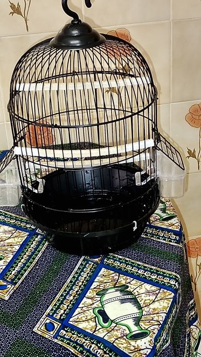Gaiola para canários