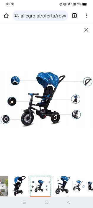 Rowerek trójkołowy SUN BABY Qplay