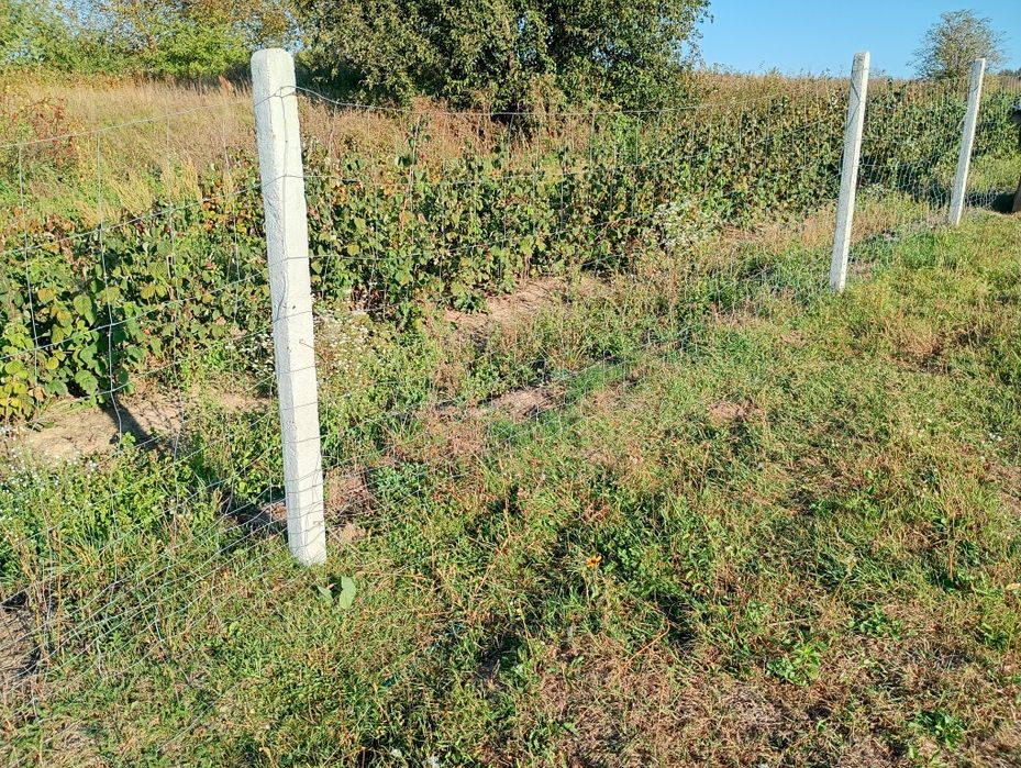 Siatka leśna,wys 150