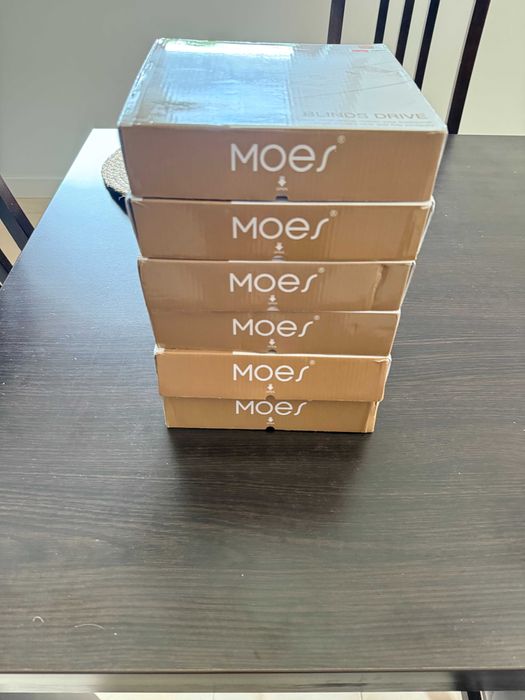 Silnik rolet wewnętrznych Moes AM43 zigbee
