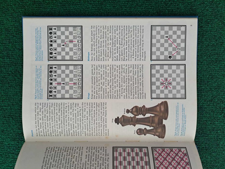 Chess (Xadrez) - Winning Moves and Tactics - Paul Langfield