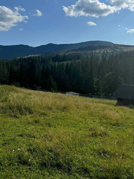 Земельна ділянка