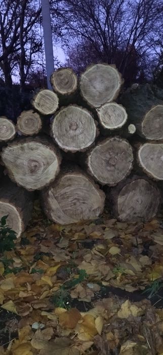 Дрова. Недорого.