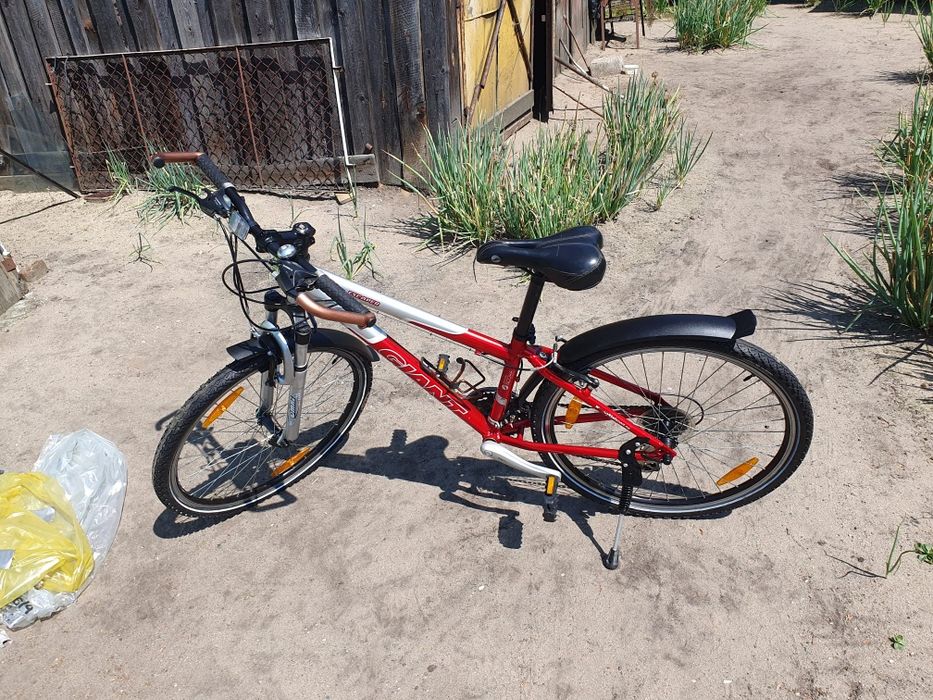 Rower damka młodzieżowy Giant