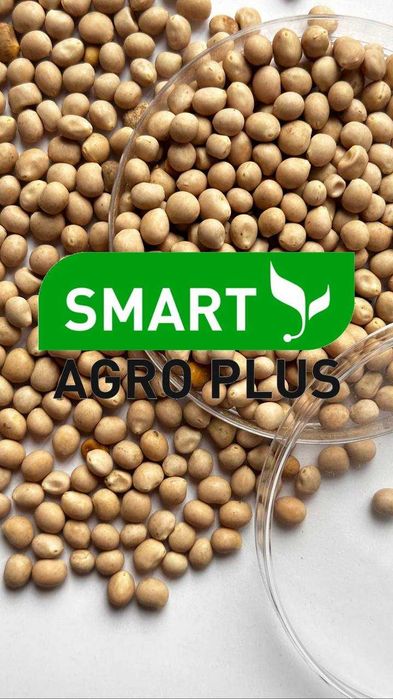 Насіння Люпина вузьколистого