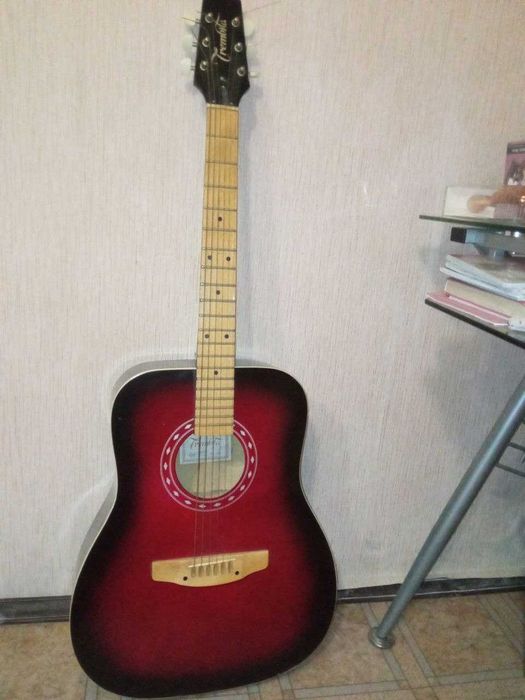 гитара акустическая trembita 2008