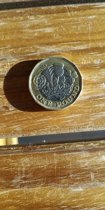 Moeda de coleção One Pound 2018