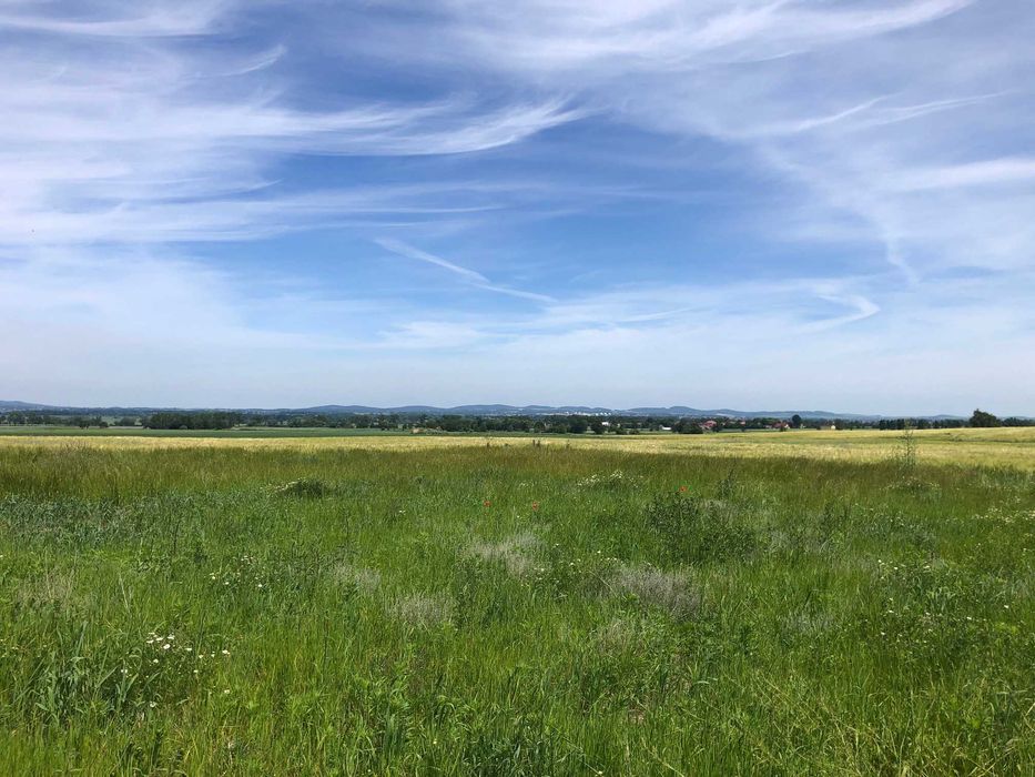 Działka budowlana Lutomia Górna uzbrojona Okazja 1500m2.