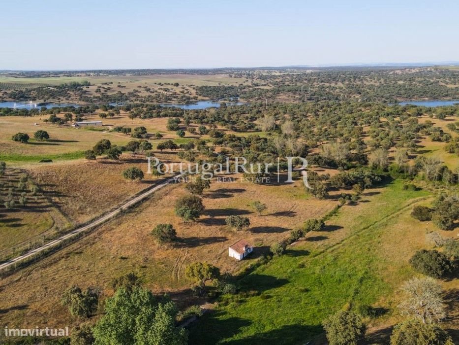 Herdade com 22,62 ha confinante com barragem — Ervedal, Portalegre