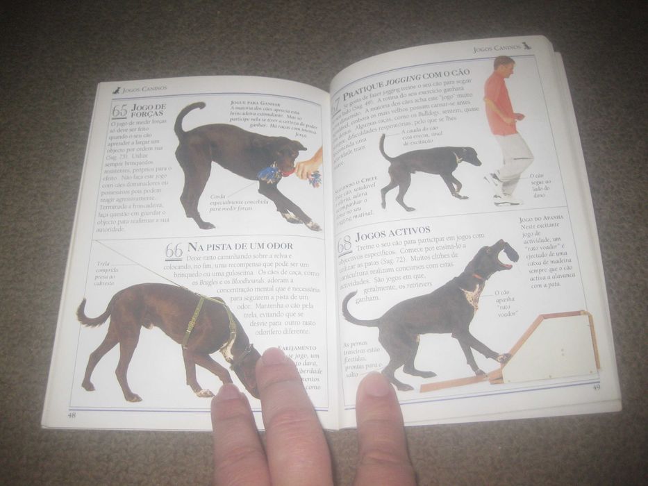 Livro "101 Sugestões: Como Treinar O Seu Cão"