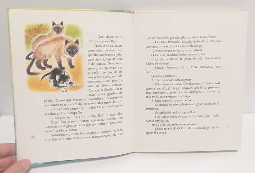 A Grande Aventura de Tufão, de Louise Bellocq