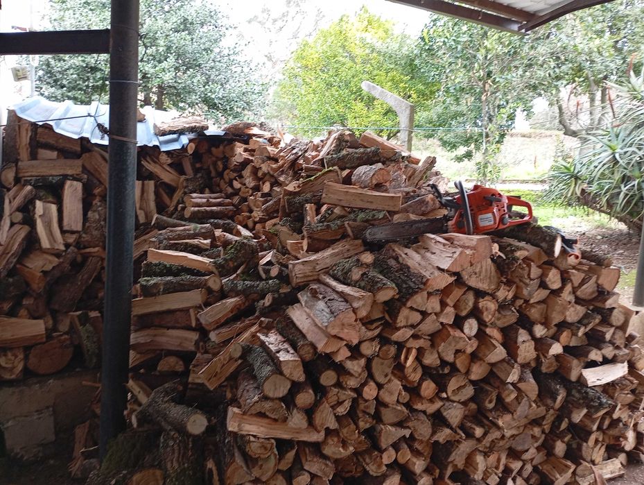Vendo este monte de lenha toda junta
