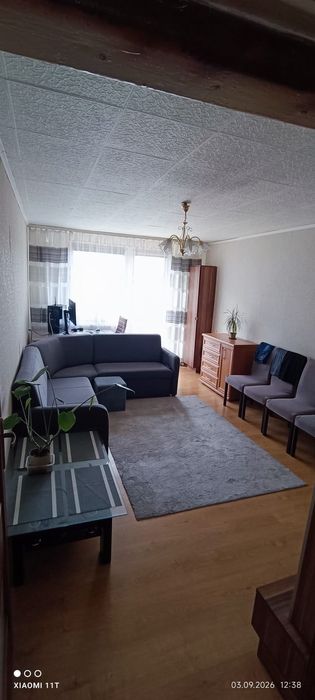 „Mieszkanie do wynajęcia”.