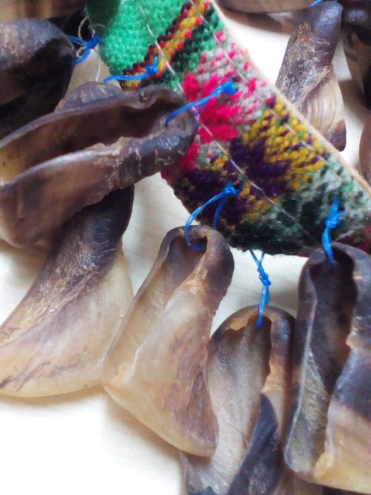 Goat Claw Sauce.64286586425859121