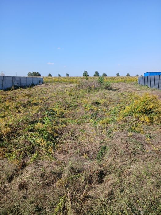 Ділянка 6 сотих  СУПЕР ЦІНА село  Петропавлівське Бори