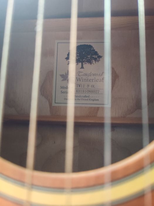 Tanglewood TW 11 D OL Winterleaf