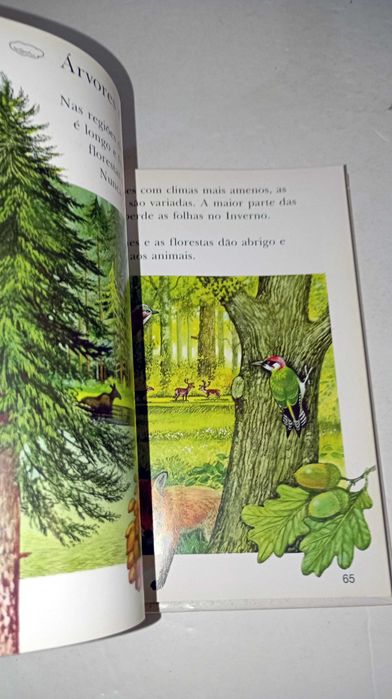 A Terra - A Minha Primeira Enciclopédia Larousse